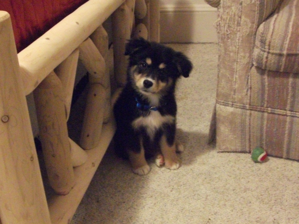 Rocky - January 2015